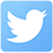 Twitter Icon
